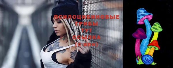 кокс Няндома