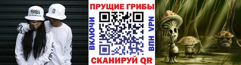 Галлюциногенные грибы мицелий  купить наркотики цена  Трёхгорный 